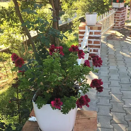 Гостевой дом Shija E Natyres Rec