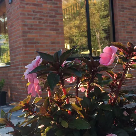 Shija E Natyres * Rec