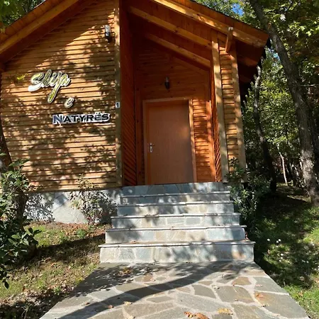 Konukevi Shija E Natyres *