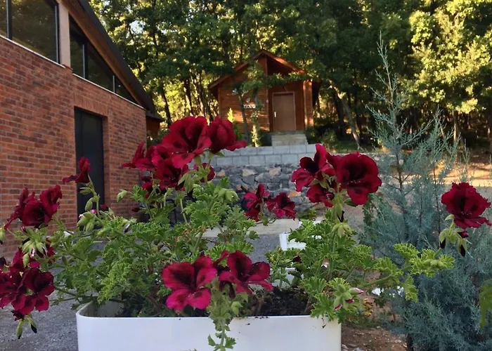 Pensión Shija E Natyres *