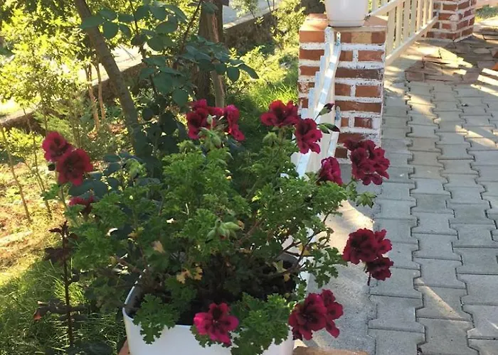 Pensión Shija E Natyres Rec